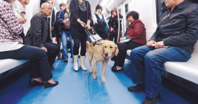 导盲犬可以上地铁吗