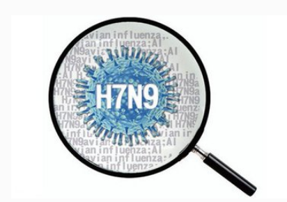 h7n9病毒变异株症状