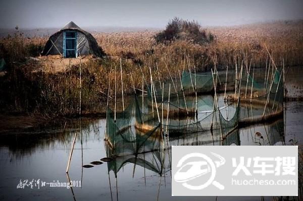 美丽的东营黄河口生态湿地——图文全记9