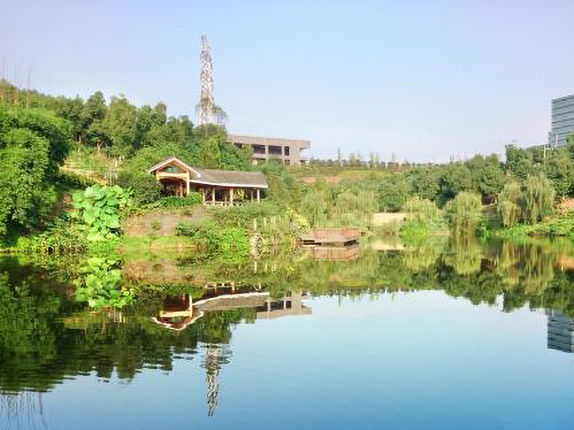 竹林公园