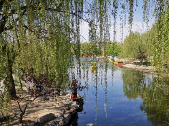 望龙湖湿地公园