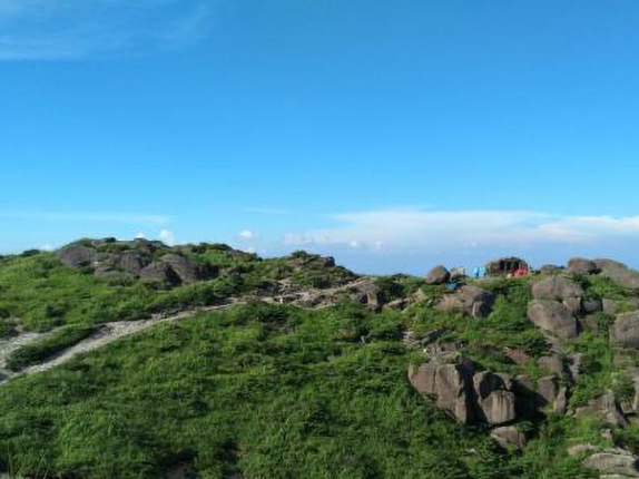 辰山自然保护区