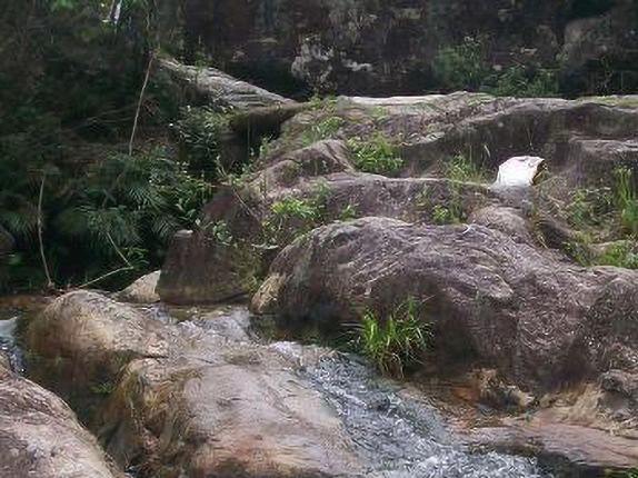灵寿水泉溪自然风景区