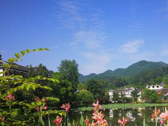 贵州湄潭象山茶博公园