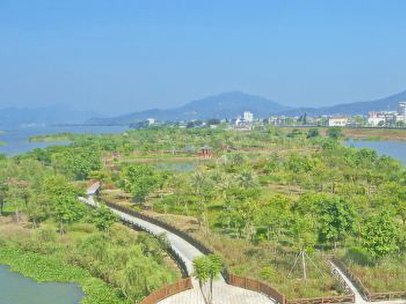韩江金山大桥湿地公园