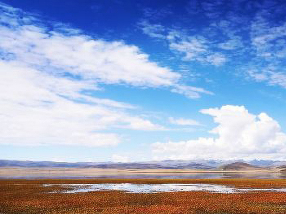 甘南尕海侯鸟自然保护区
