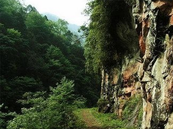 乌龙国家级森林公园