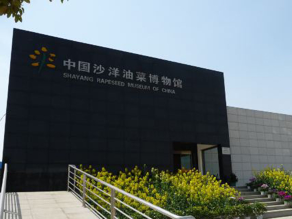 中国油菜博物馆