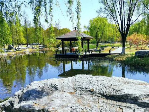 莲池湖公园