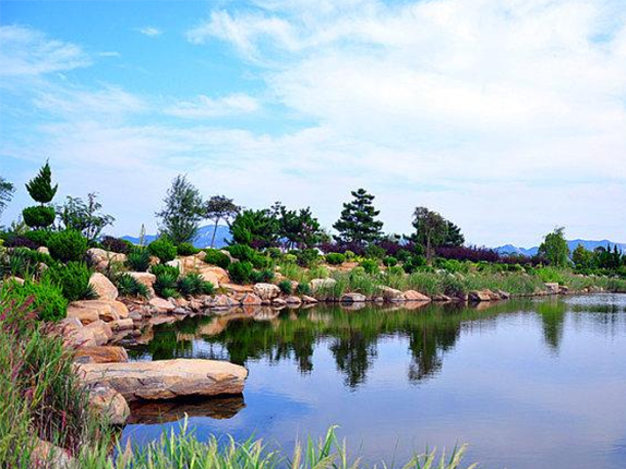 锦湖湿地公园