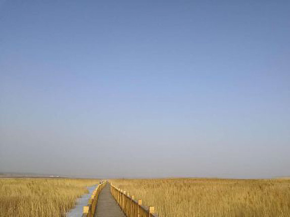 富裕县乌裕尔河湿地公园