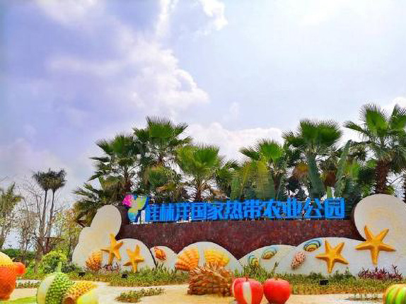 桂林洋国家热带农业公园