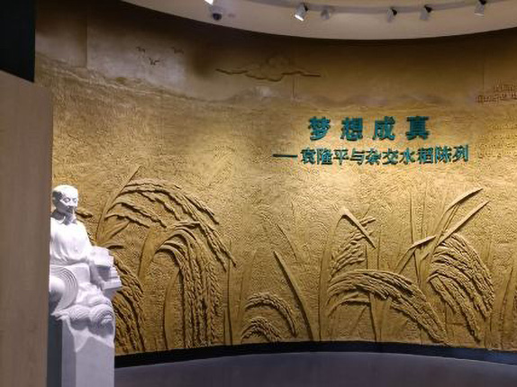 隆平水稻博物馆