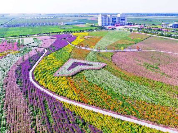 宝泉岭现代农业生态园
