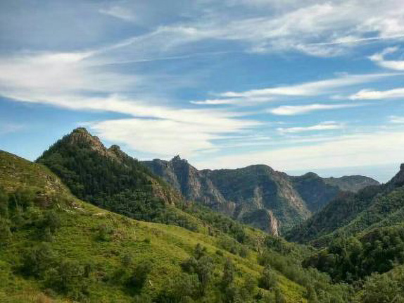 九峰山自然保护区