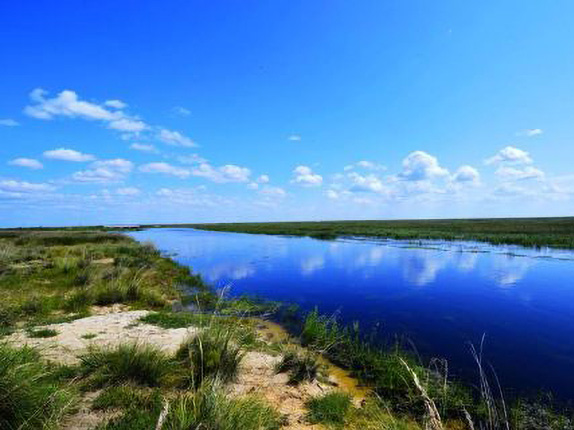乌兰诺尔湿地