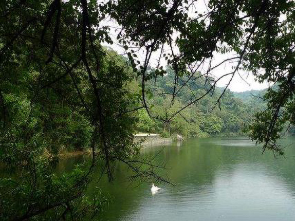 慈湖生态公园