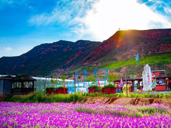 千紫缘农业科技博览园