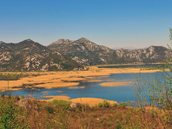 泰安平湖现河公园