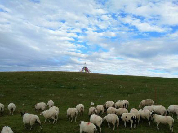 湖东种羊场
