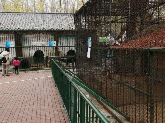 蒲园动物园