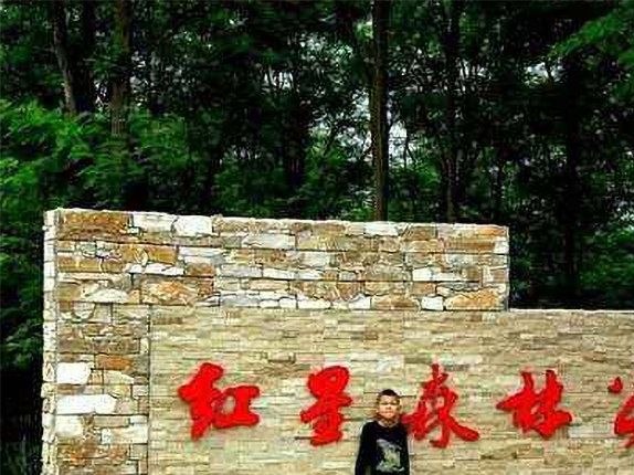 长武县红星森林公园景区