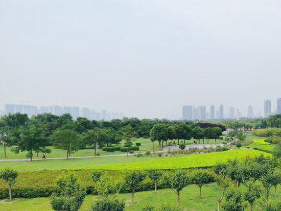 秦汉渭河湿地公园