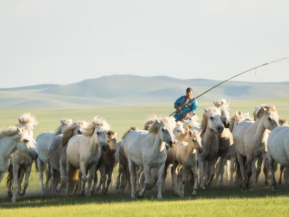 内蒙古自治区赤峰市阿鲁科尔沁旗...