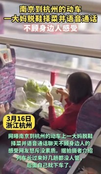 女子在高铁上脱鞋择菜，网友表示：“无法忍受……”