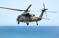 直升机 直升机的螺旋桨是模仿哪种动物的翅膀制造的