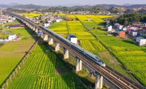 中国高铁火到欧洲！开通一周年，改变了什么？