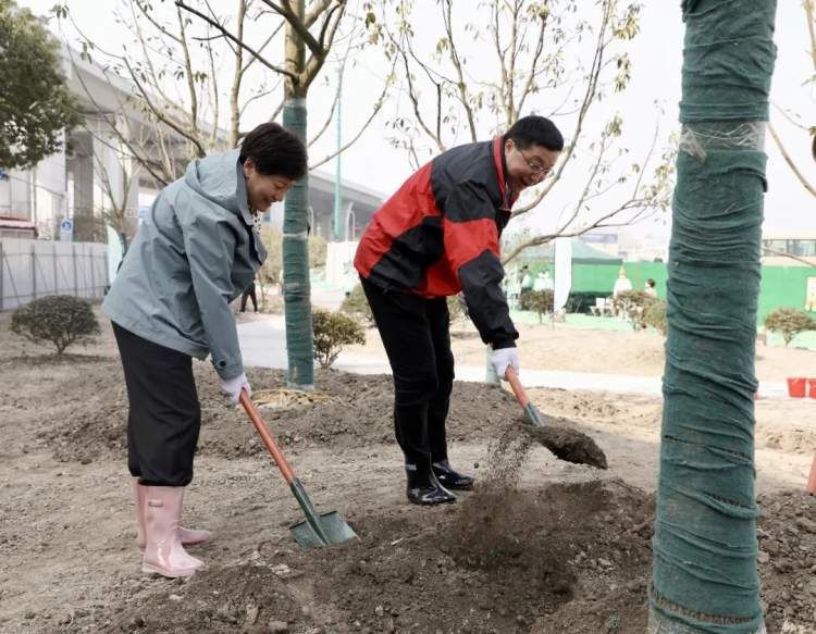 今天，长宁区领导在长宁这片规划绿地参加义务植树活动
