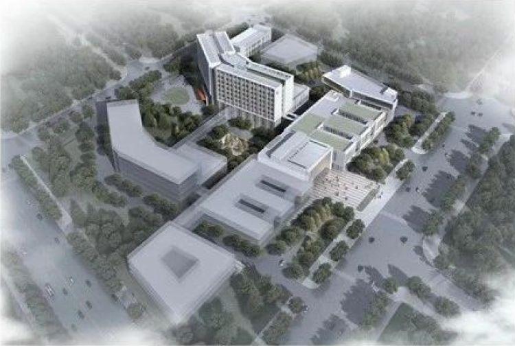 交大医学院浦东校区、大歌剧院……来看这些重大工程的新进展