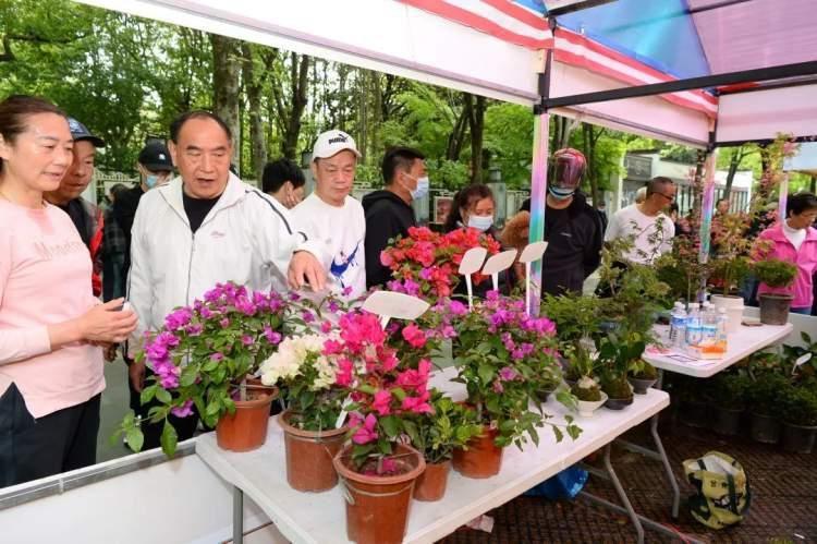 园艺中心揭牌，公园花市亮相！第九届上海市民绿化节开幕
