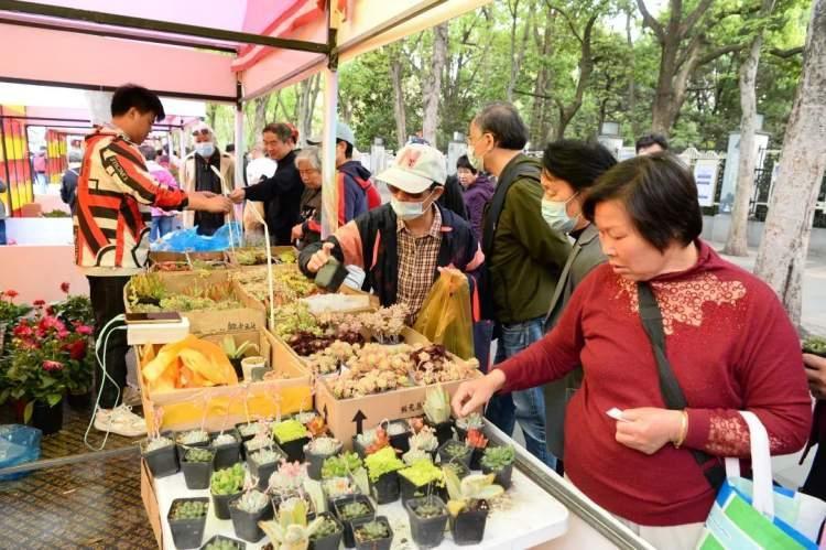 园艺中心揭牌，公园花市亮相！第九届上海市民绿化节开幕