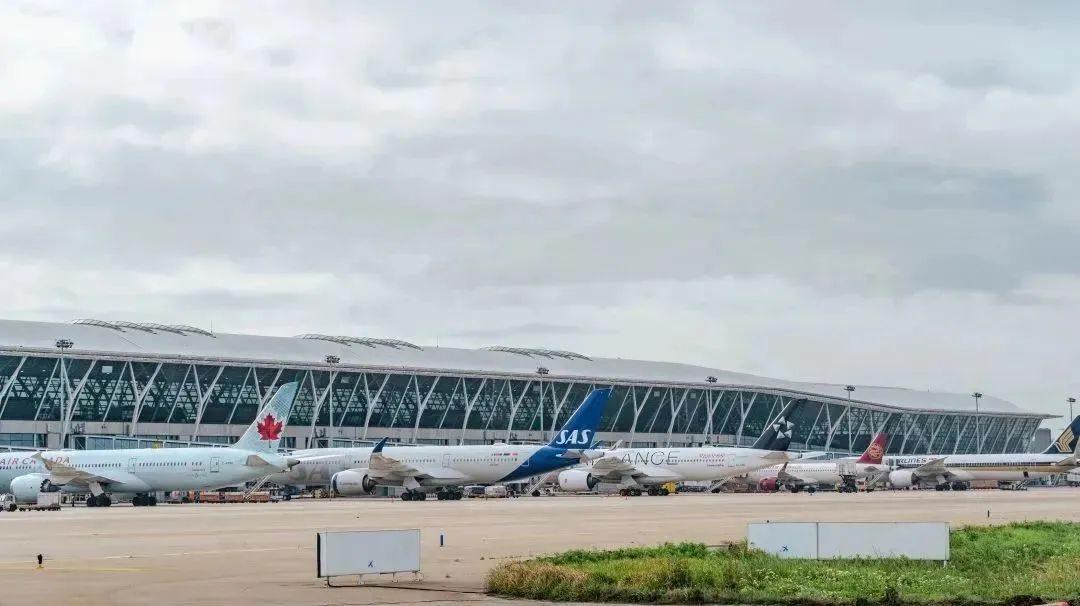 “五一”假期即将到来，浦东机场预计将迎来多家中外航司恢复和加密国际航班