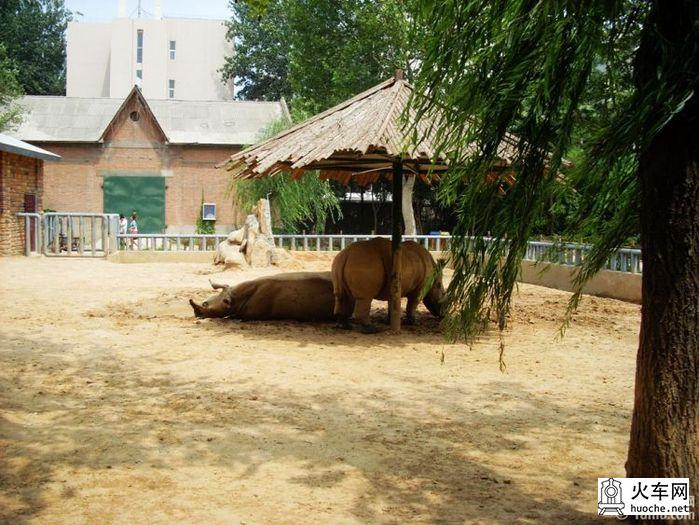 郑州动物园游记5