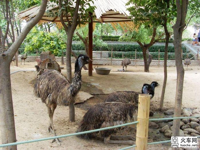 郑州动物园游记3