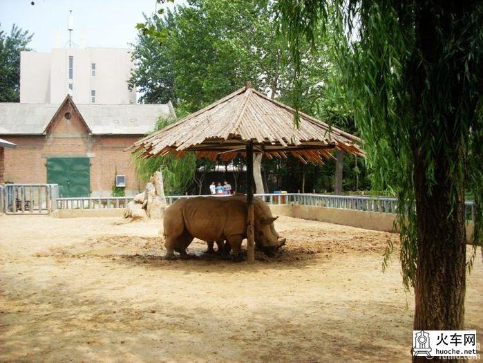 郑州动物园游记6
