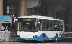 上海81路公交车路线