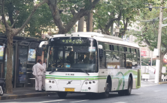 上海206路公交车路线
