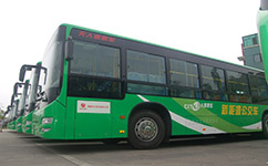上海875路公交车路线