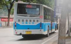 南京206路公交车路线