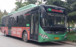 郑州203路公交车路线