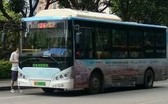梧州24路公交车路线