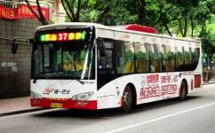 广州37路公交车路线