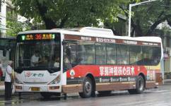 广州36路公交车路线