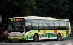 广州15路公交车路线