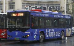 广州43路公交车路线