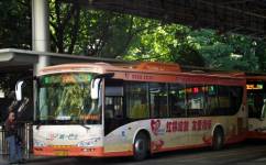 广州133路公交车路线